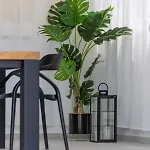 Bepo Βίλα Plano